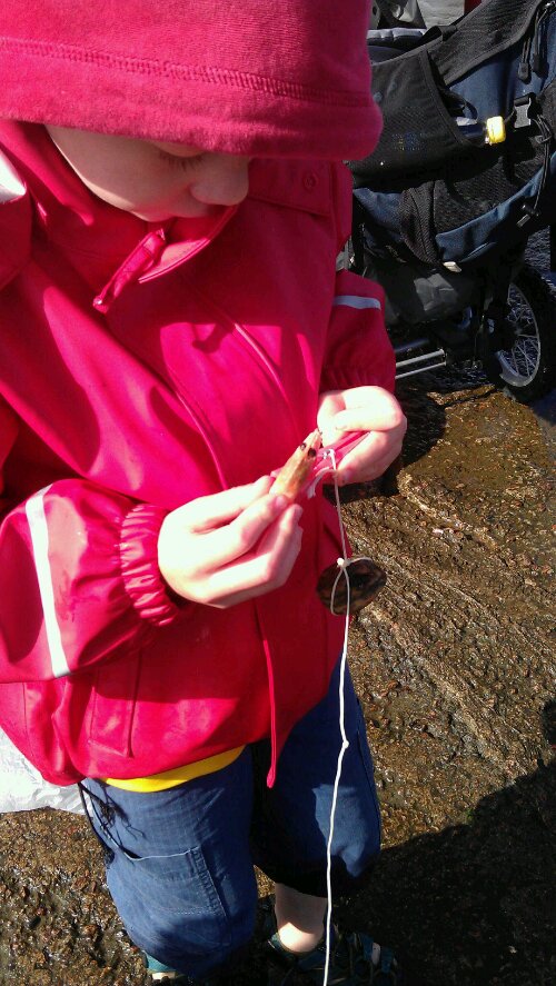 1342079003877.jpg image