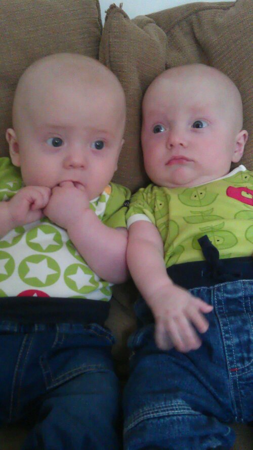 IMAG0110.jpg image