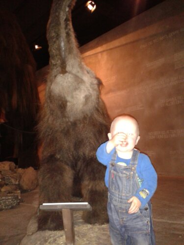 20130704_155007.jpg image