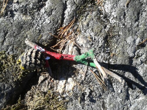 20130908_130557.jpg image