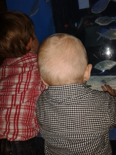 20131025_163245.jpg image