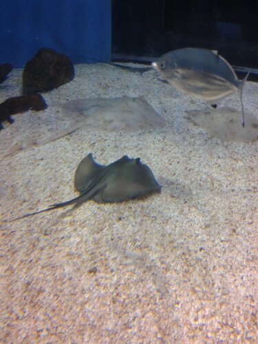 20131025_163308.jpg image