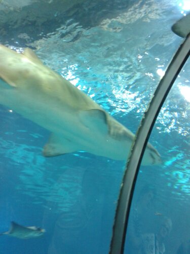 20131025_164410.jpg image