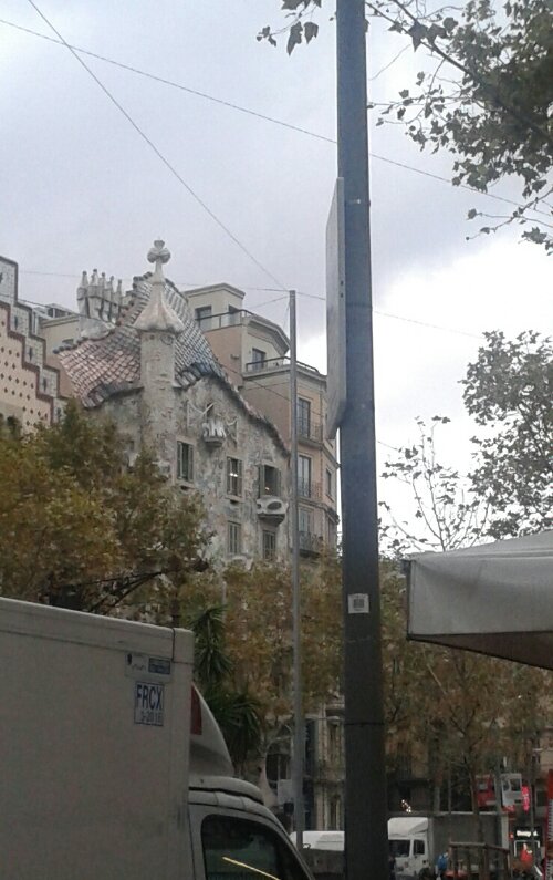 20131029_082148-1.jpg image