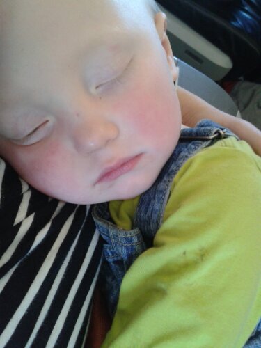 20131029_123411.jpg image