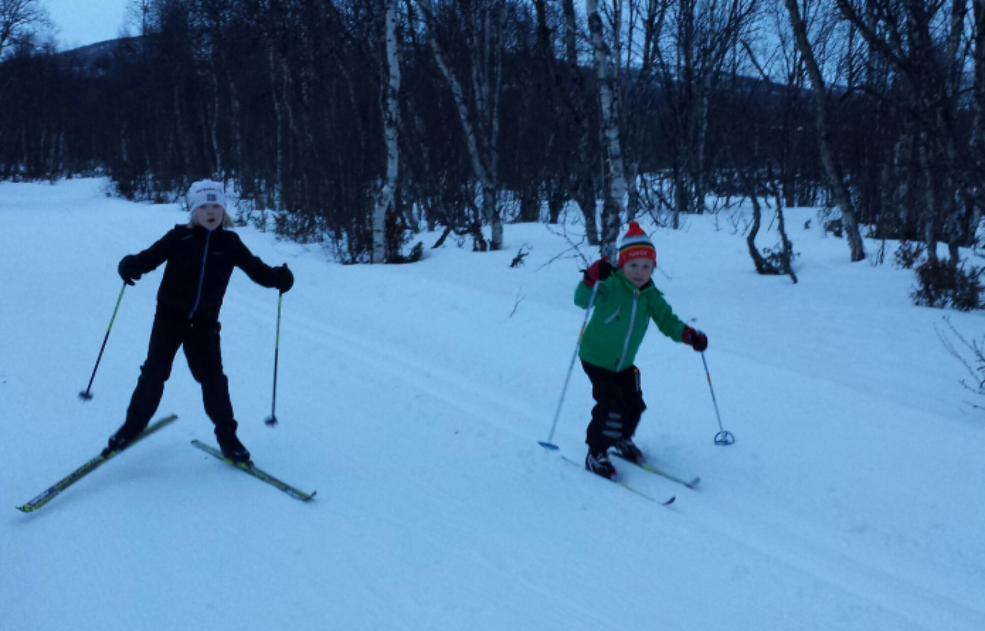 20131228_143149-1.jpg image