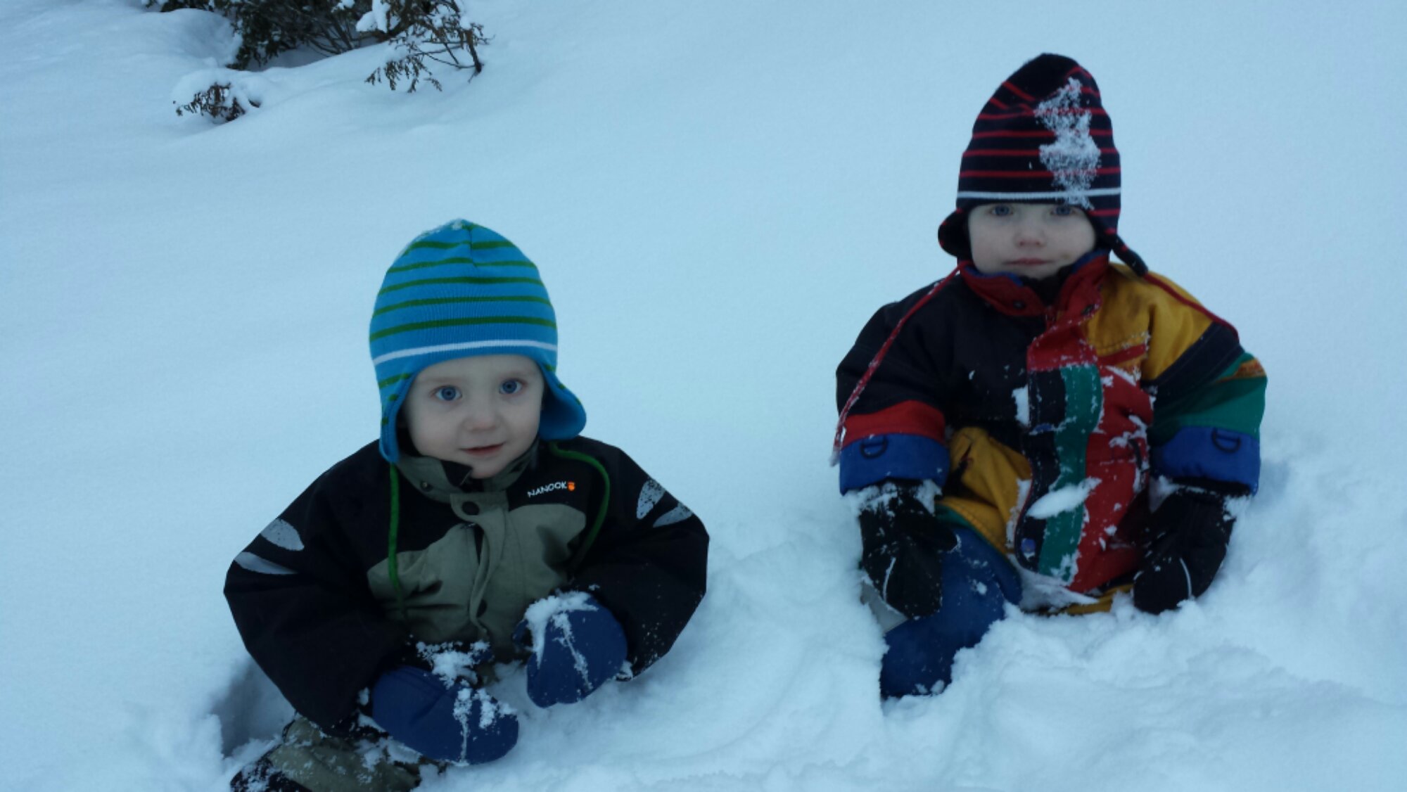 20140103_101057.jpg image