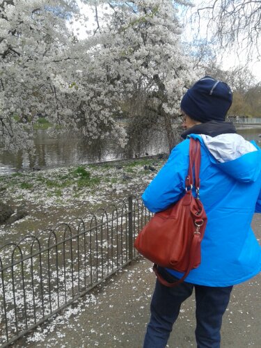 20140323_124148.jpg image