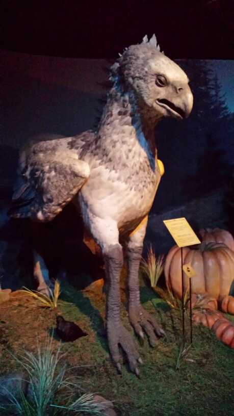 20140812_150136_LLS.jpg image