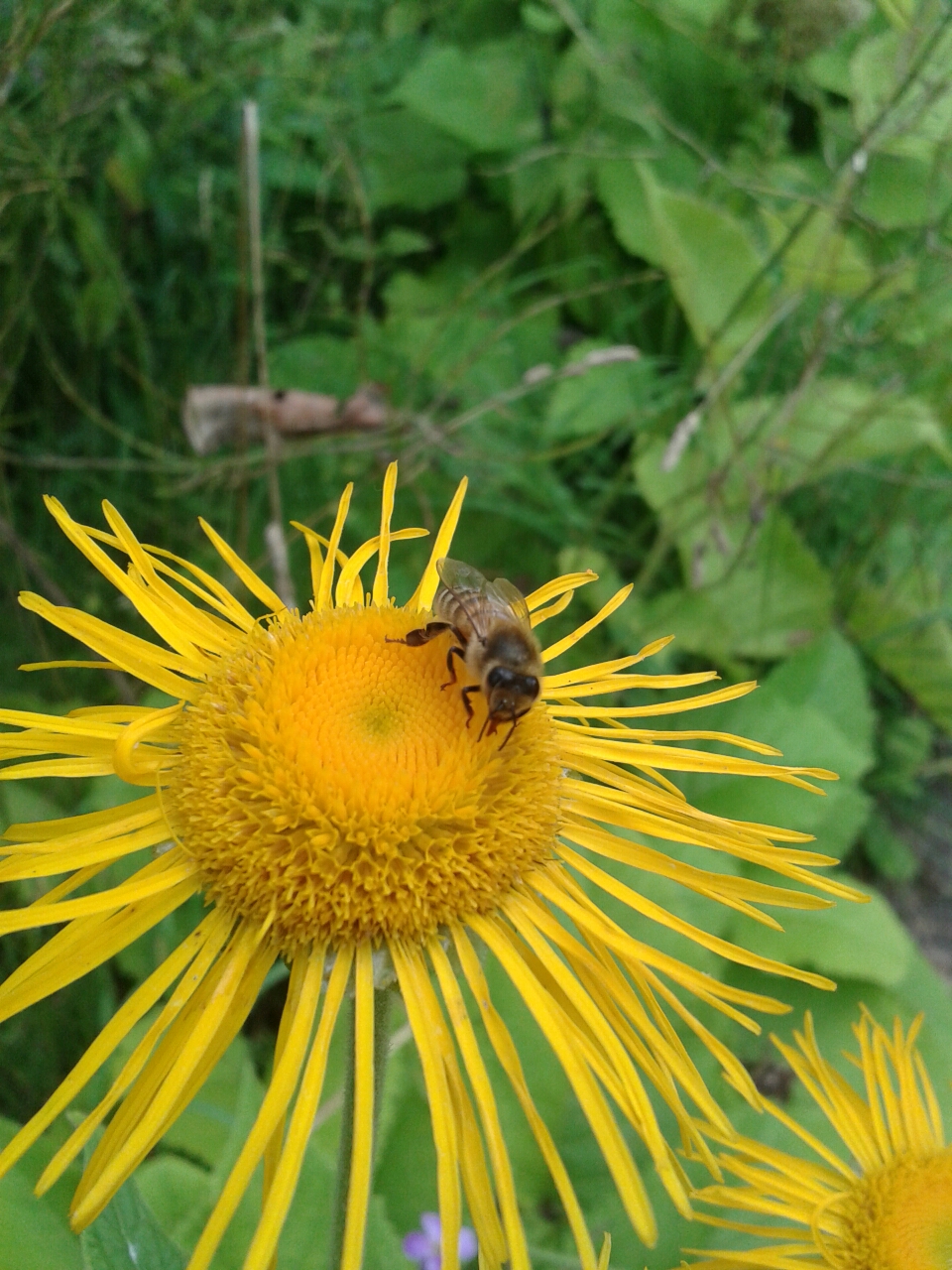 20140726_111912.jpg image