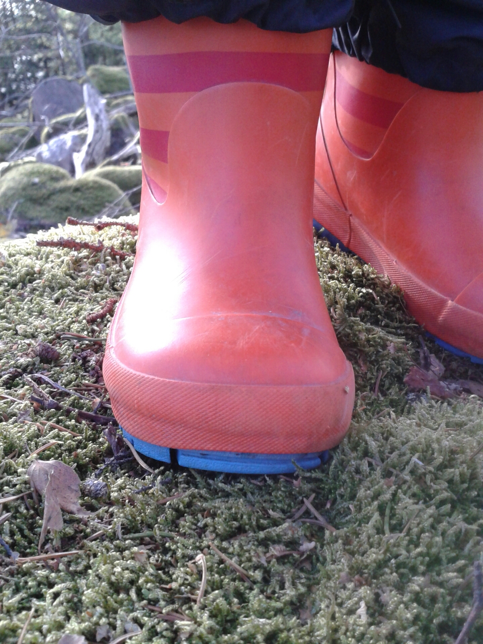 20140927_152842.jpg image