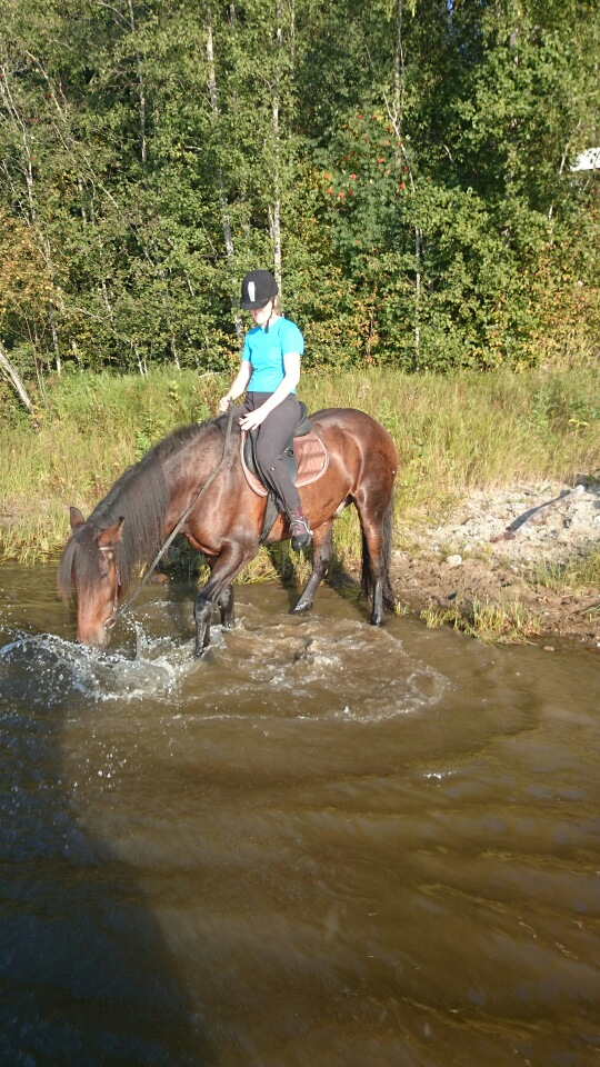 mms_img-1449699707.jpg image