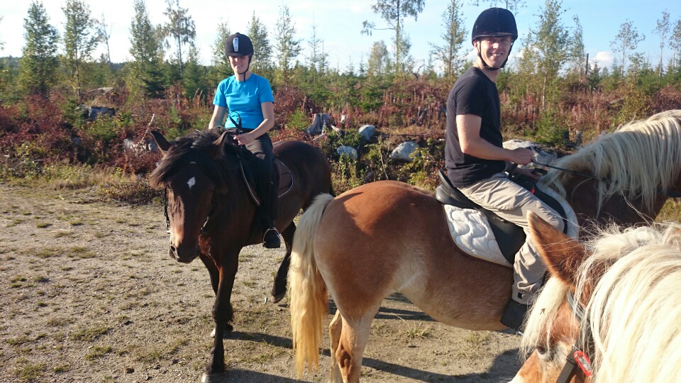mms_img-720794419.jpg image