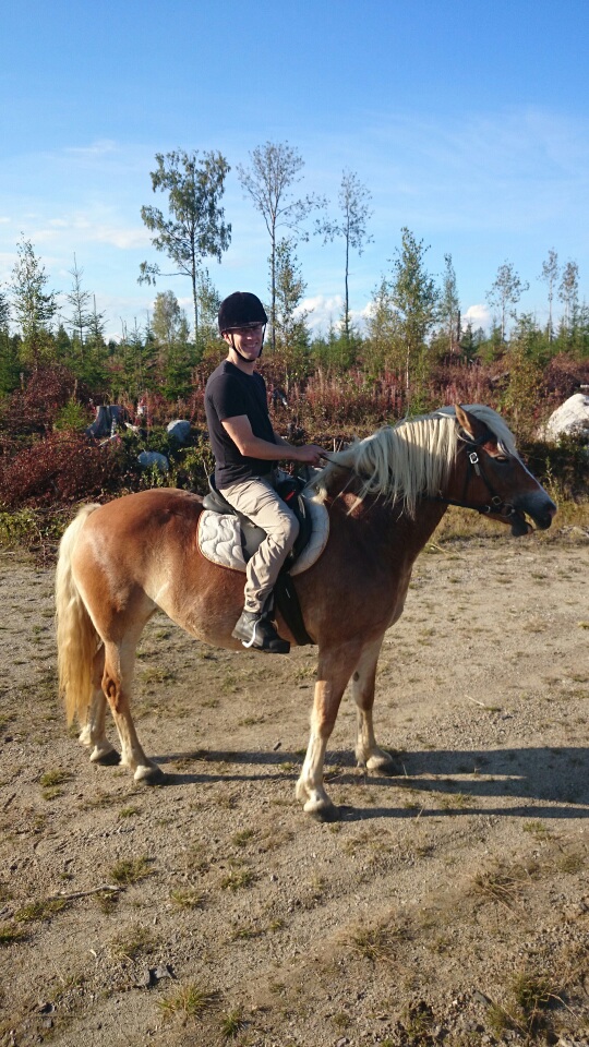 mms_img1218746853.jpg image