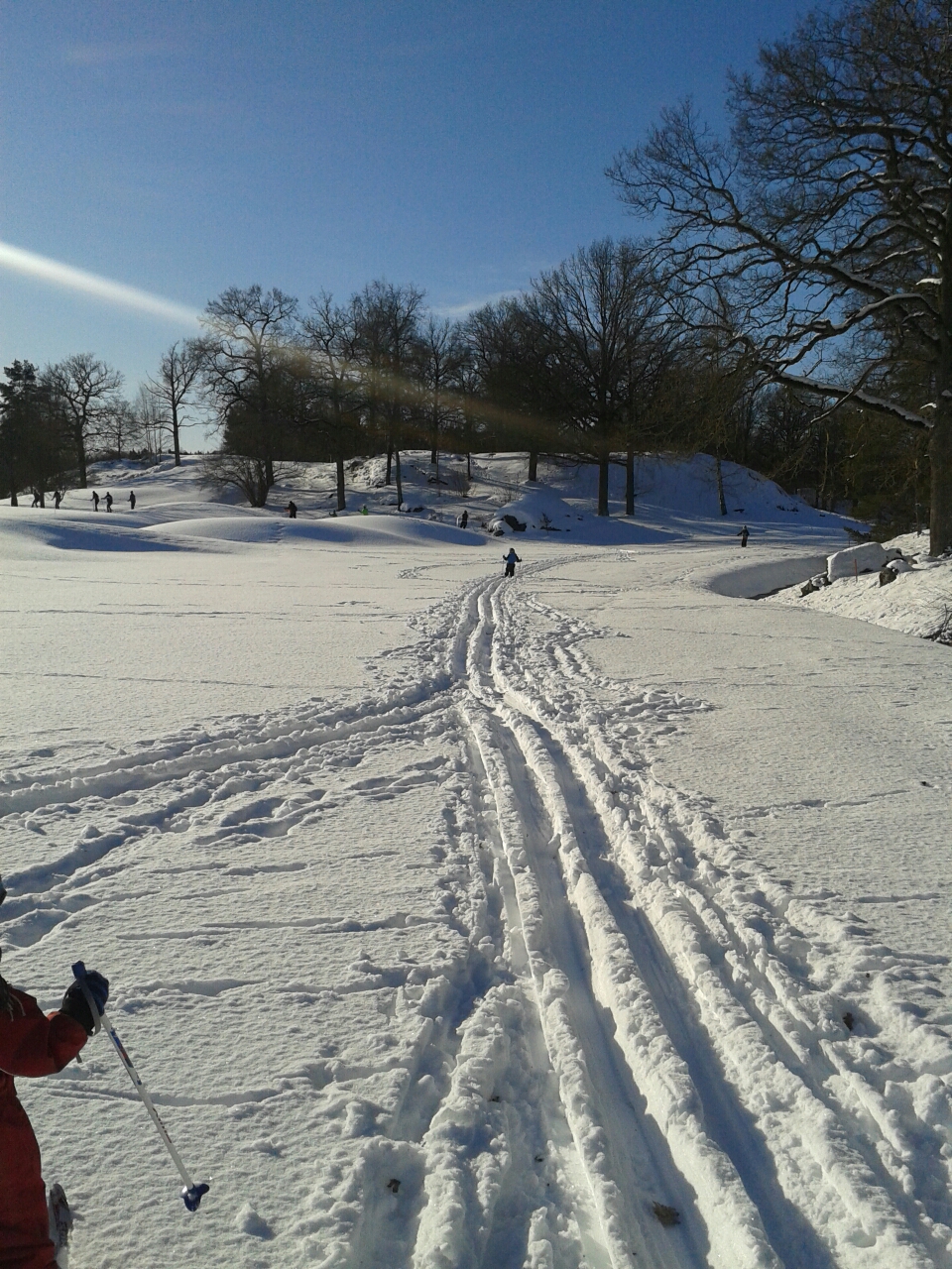 20150208_113413.jpg image