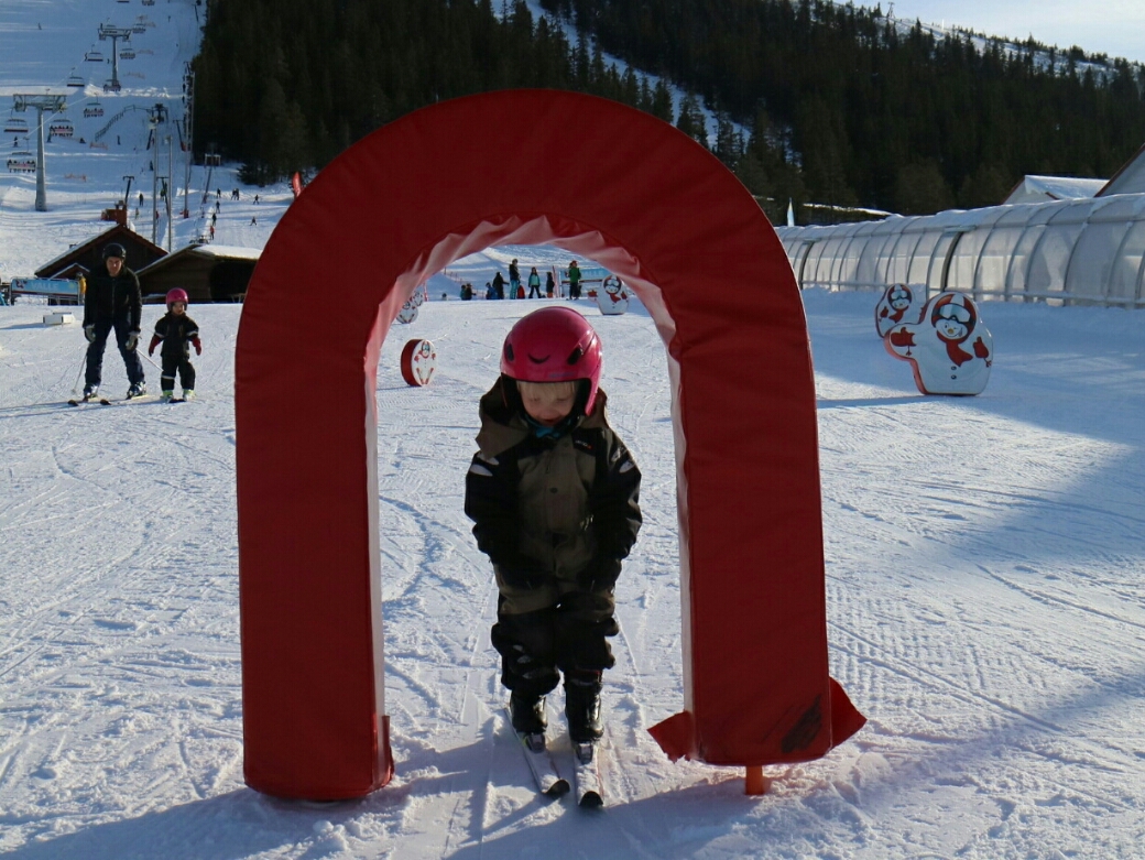 20160229120114_IMG_1862-1.jpg image